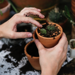 Captura de pantalla 2018 11 29 a las 21.02.51 1 150x150 - Espai col·laboratiu