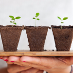 Captura de pantalla 2018 11 29 a las 23.14.32 150x150 - Espai col·laboratiu