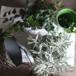 Captura de pantalla 2018 11 29 a las 23.15.01 150x150 - Espai col·laboratiu