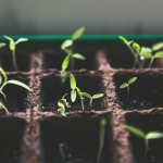 Captura de pantalla 2018 11 29 a las 23.36.36 150x150 - Espai col·laboratiu