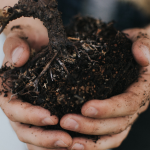 Captura de pantalla 2018 11 29 a las 23.36.59 150x150 - Espai col·laboratiu