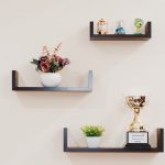 plant-prize-shelves-74942